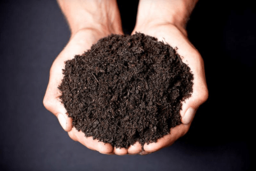 Soil