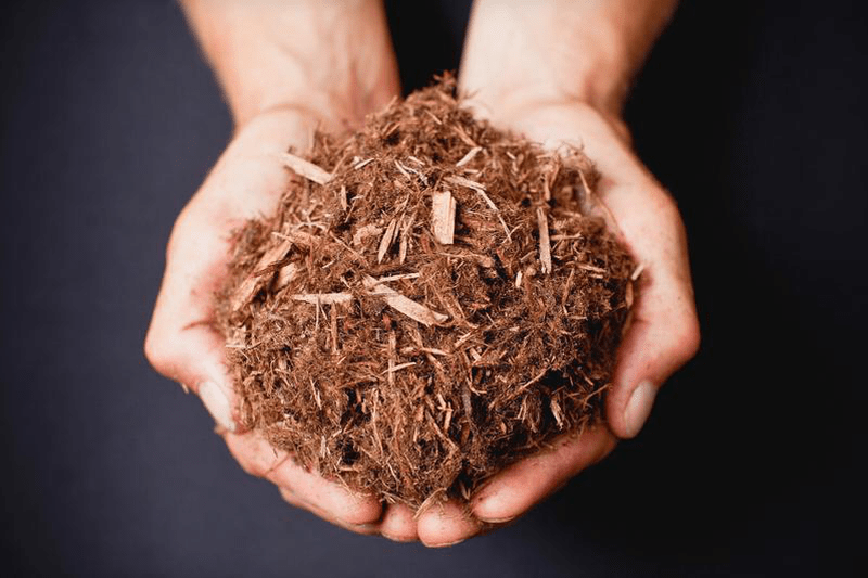 wood chip mulch
