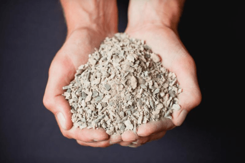 lawn grass seed