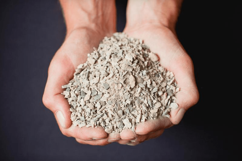 lawn grass seed