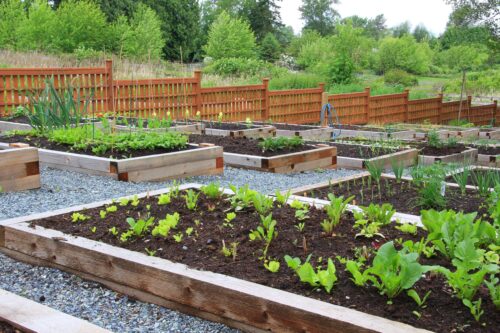 garden soil dirt cheap
