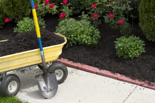 best black mulch Waterloo