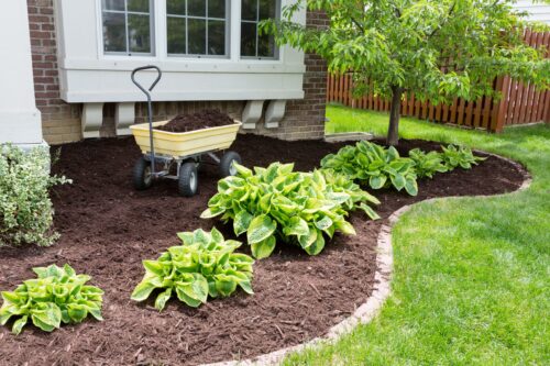 garden mulch Waterloo