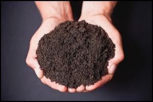 how much is topsoil Kitchener